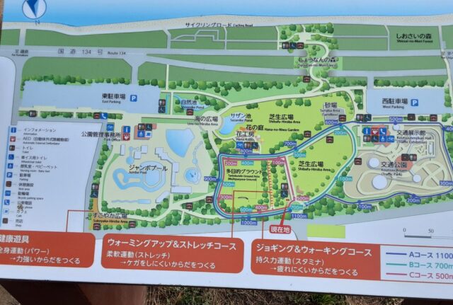 【辻堂海浜公園】地元の遊び場は、プールだけではない楽しみ方が満載