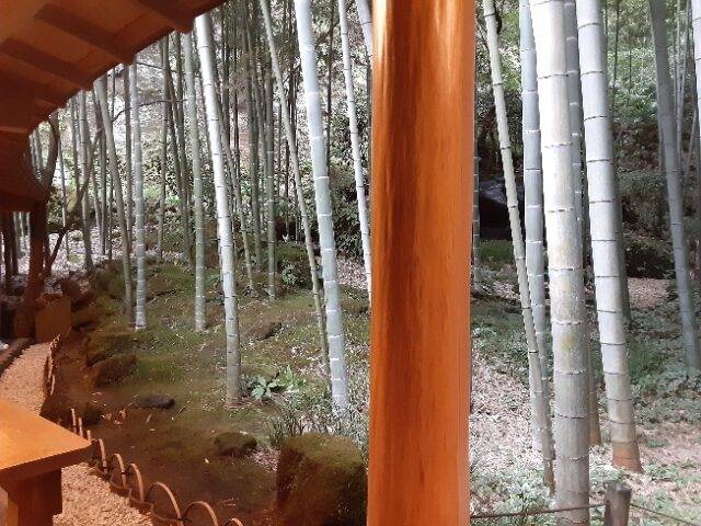 茶屋からの眺め